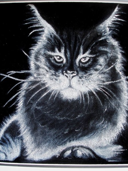 Живопись на черном бархате