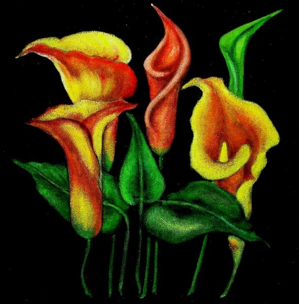 Пастель на темном фоне