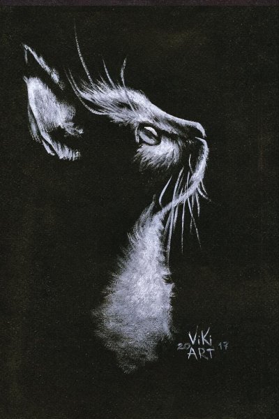 Пастель на черном