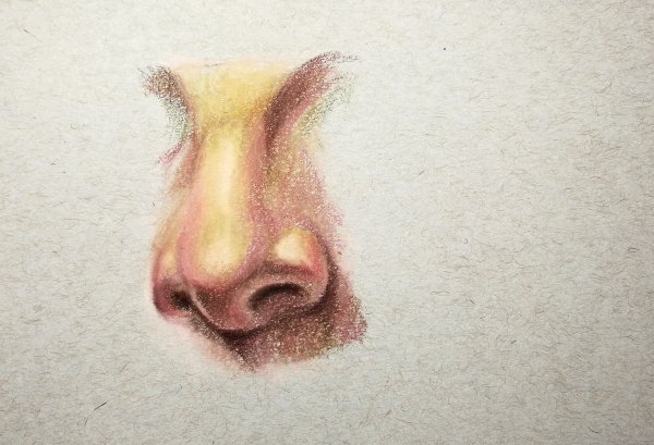 Нос акварелью