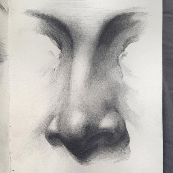Портрет карандашом нос