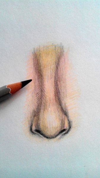 Нос рисунок в цвете