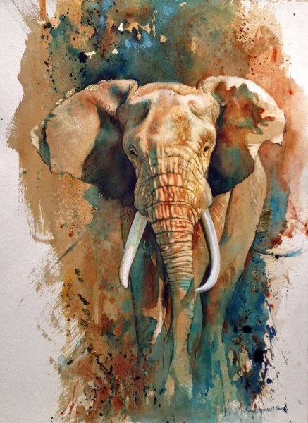 Karen Laurence-Rowe картины слоны