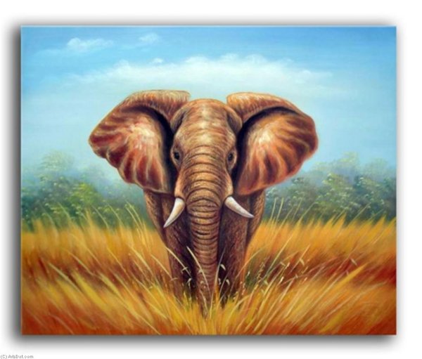 Картины со слонами