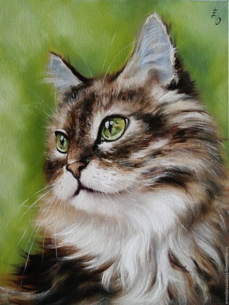 Коты живопись маслом