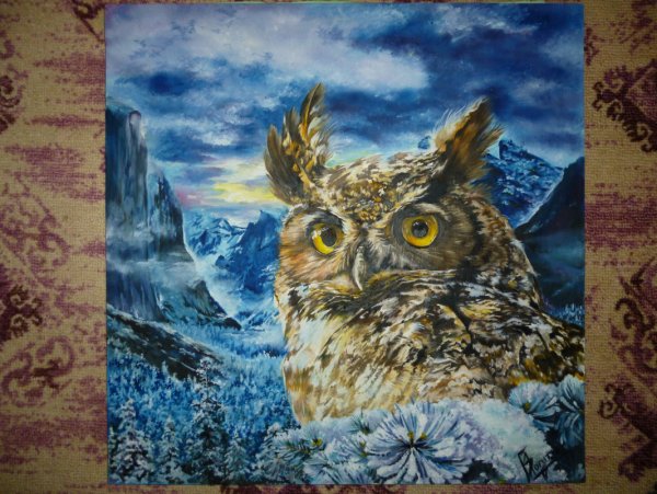 Картина по номерам с филином акрилом