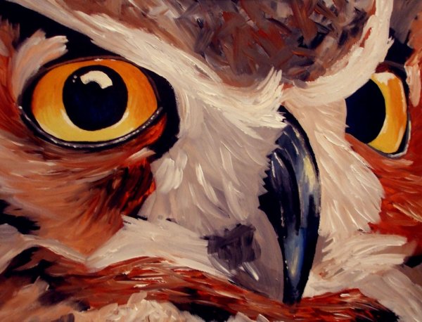 Сова гуашью