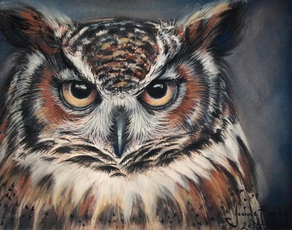 Филин картины