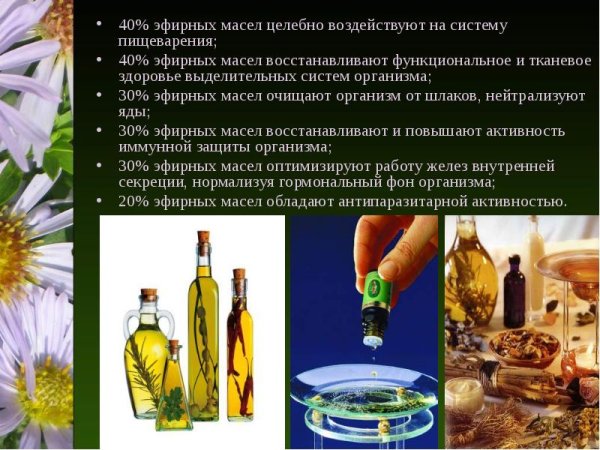 Исследование эфирных масел