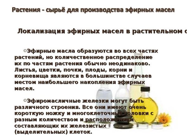 Сырье для эфирных масел