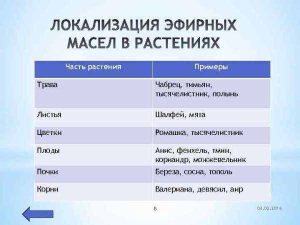 Локализация эфирных масел