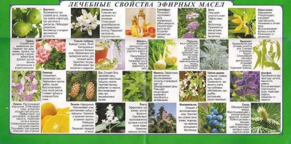 Ароматерапия эфирные масла таблица