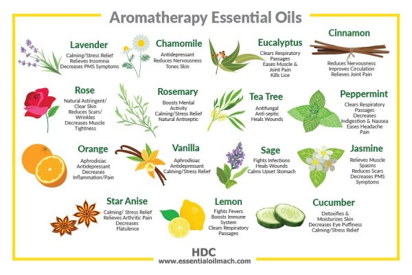 Содержание эфирных масел в растениях