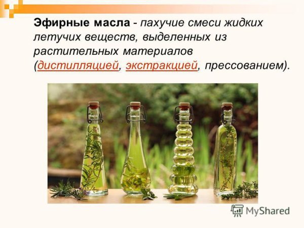 Эфирные масла химия