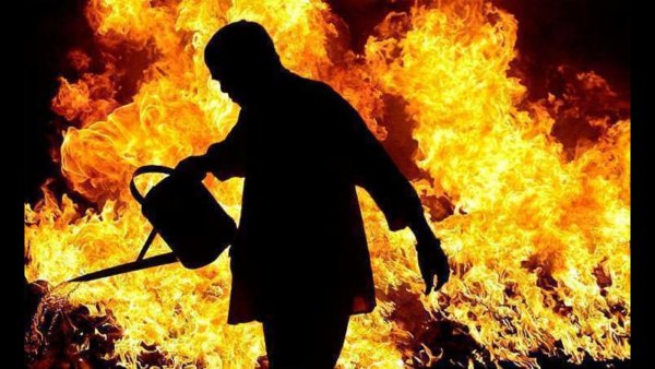 Огонь карикатура