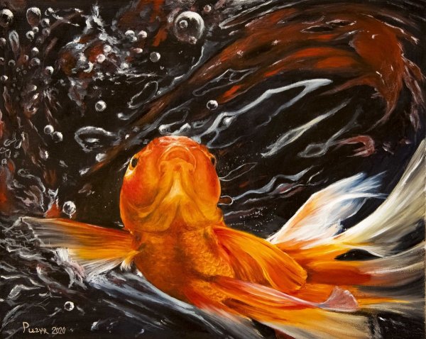 Золотая рыбка маслом