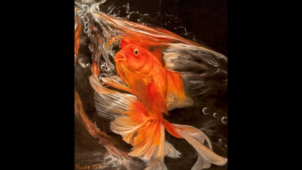 Золотая рыбка маслом