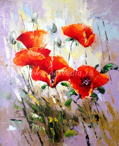 Маки живопись Антонио Джанильятти