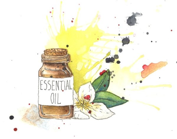 Иллюстрации про эфирные масла