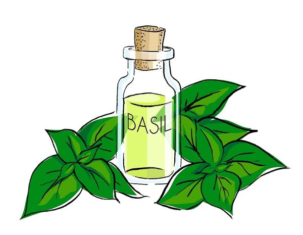 Иллюстрации про эфирные масла