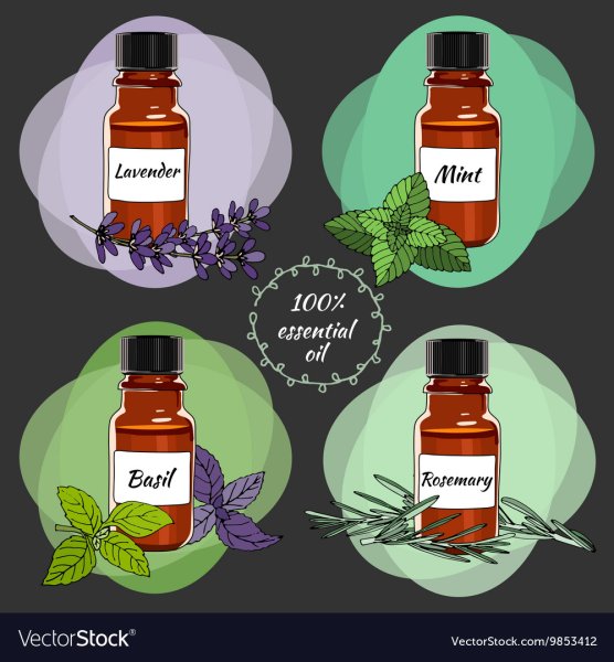 Эфирные масла вектор