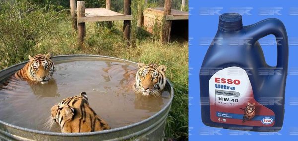 Масло с тигром на канистре