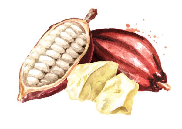 Какао рисунок акварелью
