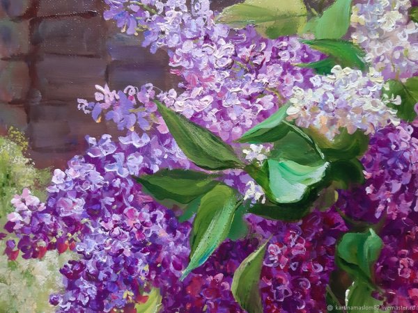 Сирень Ковальчук