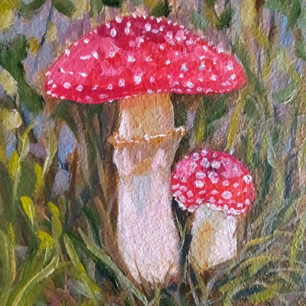Мухоморы в живописи