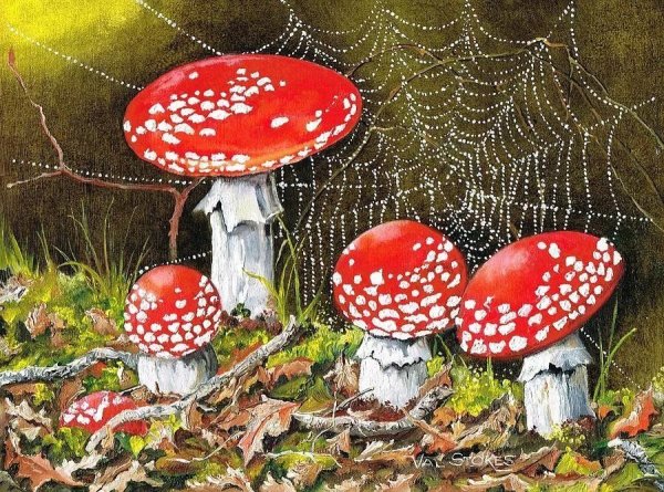 Мухомор для детей