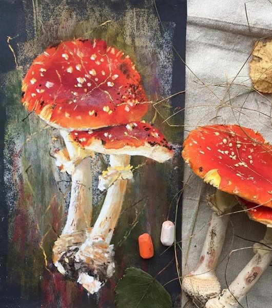 Мухомор пастелью