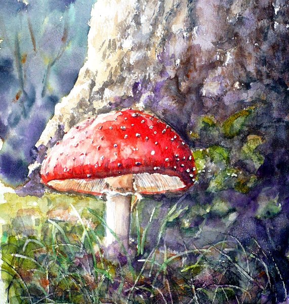 Мухомор акварель Сюзан Веллер