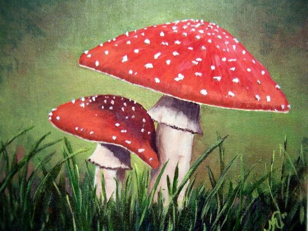 Шишкин мухоморы картина