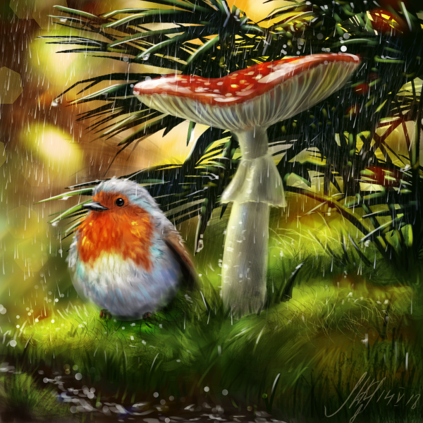 Мухоморы маслом