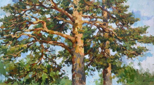 Сосна художника Еськова Павла