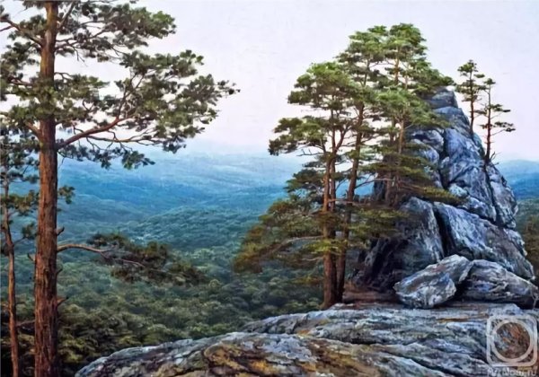 Художник Аркадий Олейник