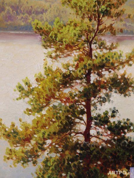 Картины сосны маслом художник Гриц