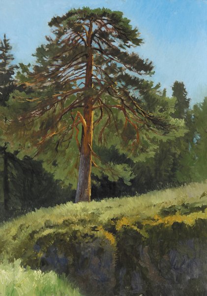 Владимир Бебия картины пейзажи