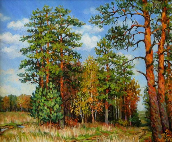 Художник Владимир Иродионович Бебия