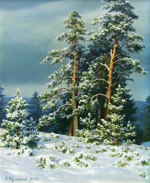 Акварель сосна на берегу