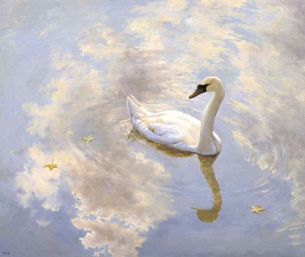 Художник Сандерс лебедь