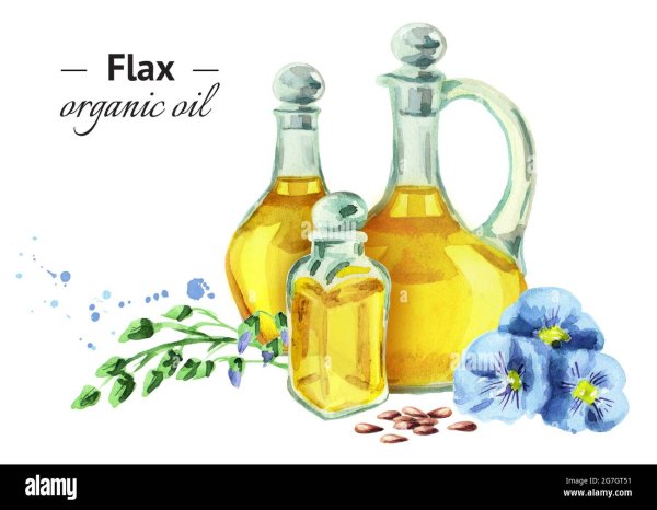 Масло льна вектор