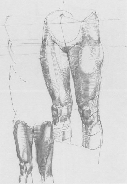 Анатомия человека Баммес