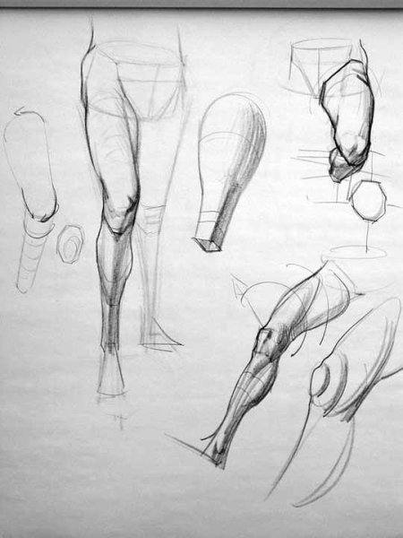 Рыжкин анатомия