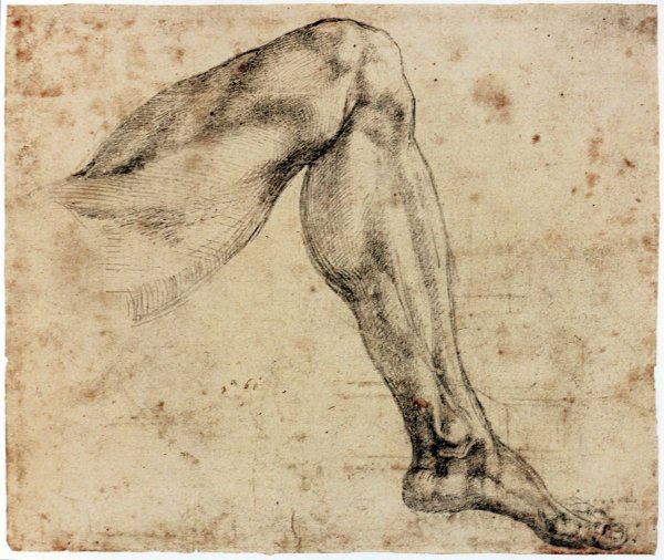 Наброски Микеланджело