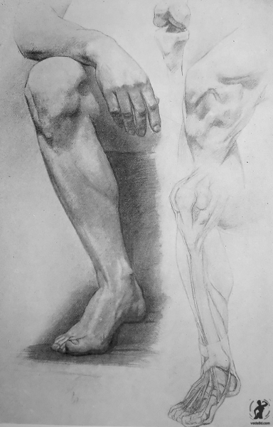 Набросок ноги человека