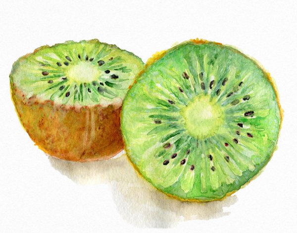 Разрез фруктов акварель
