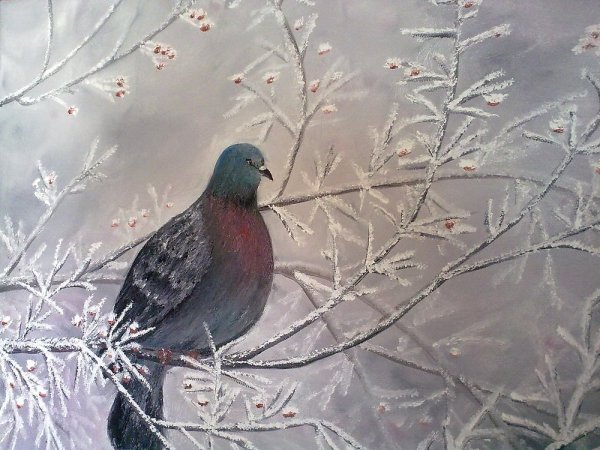 Голуби зимой живопись