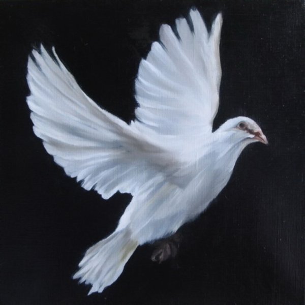 Белый голубь живопись
