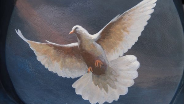 Голубь красками